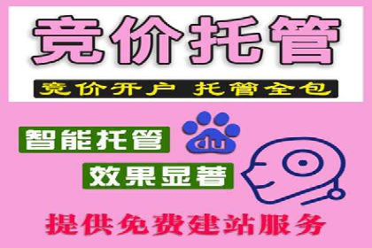 百度SEO推广实战：行业领先企业的成功之道
